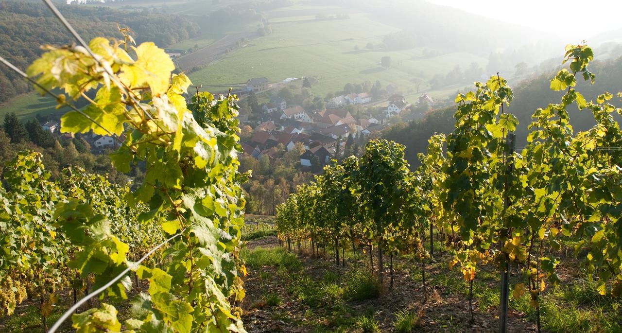 Hotel Weingut Hees - Landgasthof Zum Jager Aus Kurpfalz Auen Exteriér fotografie