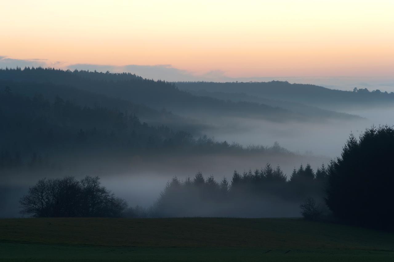 Weingut Hees - Landgasthof Zum Jaeger Aus Kurpfalz Auen Exteriér fotografie