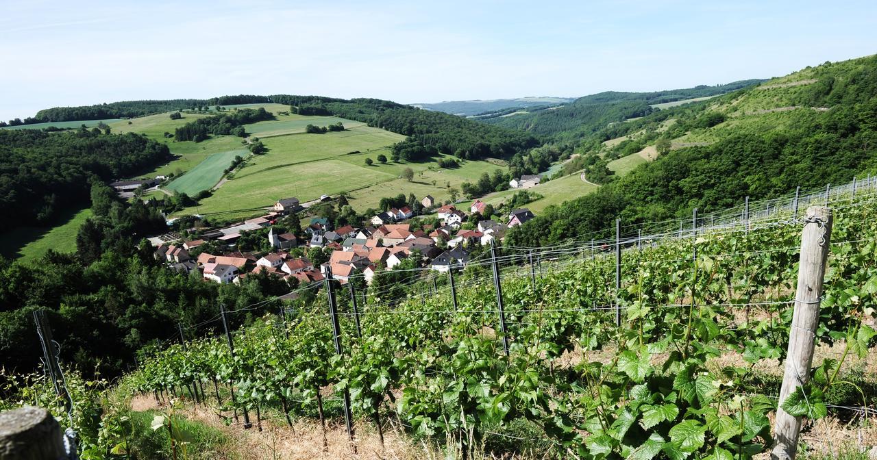 Hotel Weingut Hees - Landgasthof Zum Jager Aus Kurpfalz Auen Exteriér fotografie