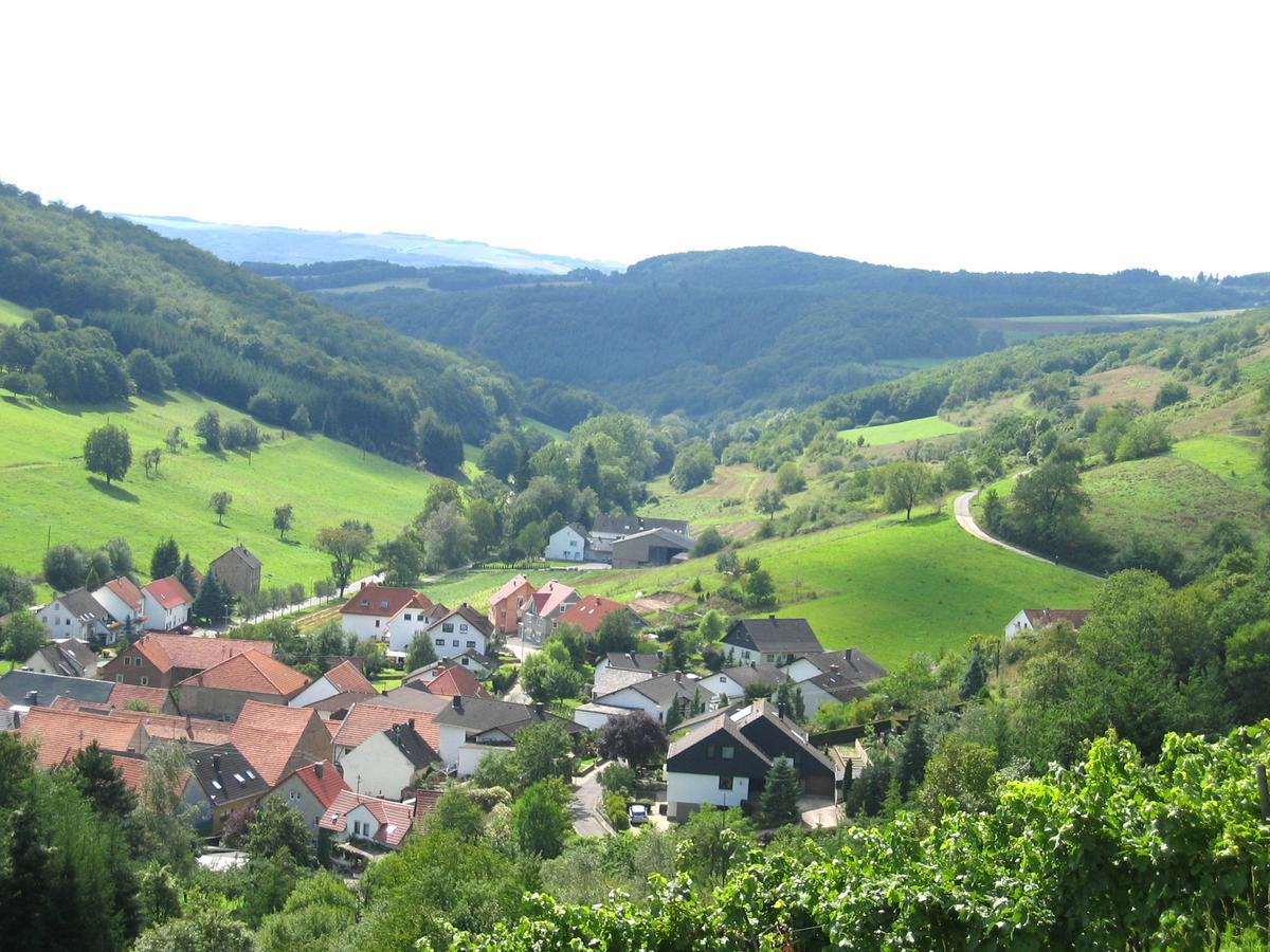 Hotel Weingut Hees - Landgasthof Zum Jager Aus Kurpfalz Auen Exteriér fotografie